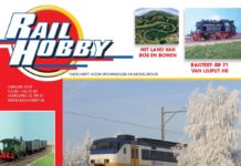 Railhobby januari 2010 (ook online)