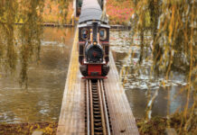 Minder ritjes voor de stoomtrein in de Efteling
